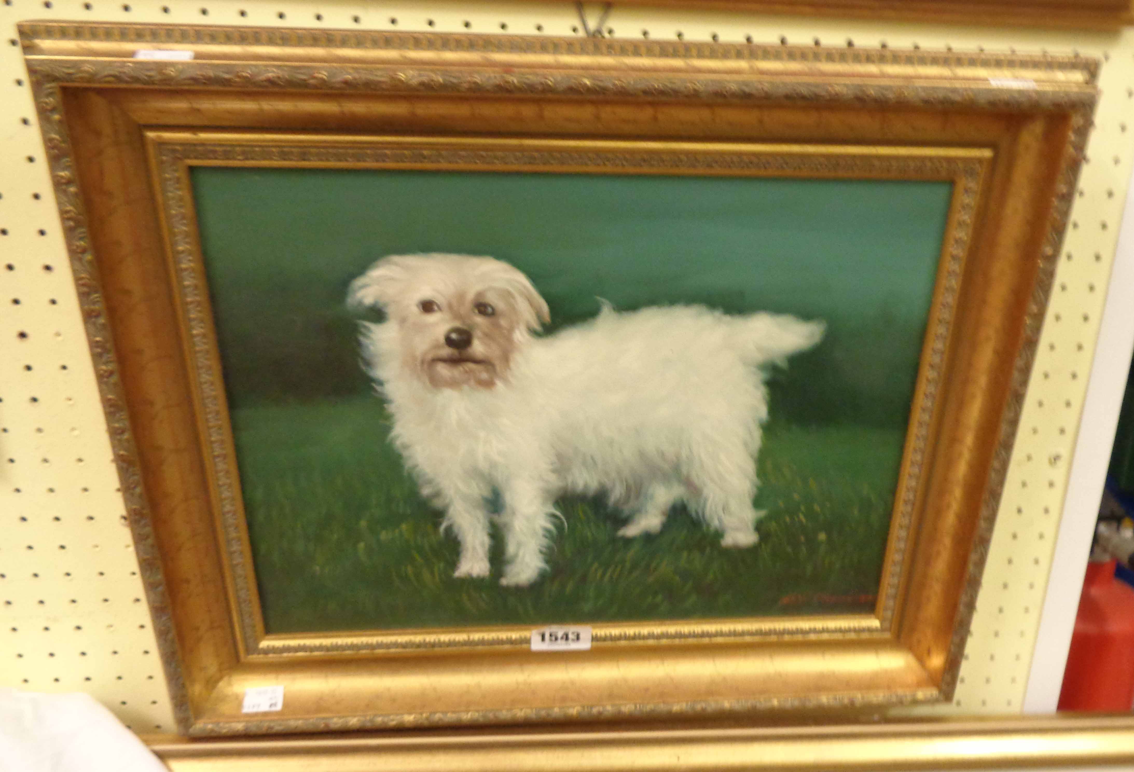 Bill Cheng: a modern gilt framed oil on canvas study of a white dog - signed