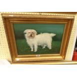 Bill Cheng: a modern gilt framed oil on canvas study of a white dog - signed