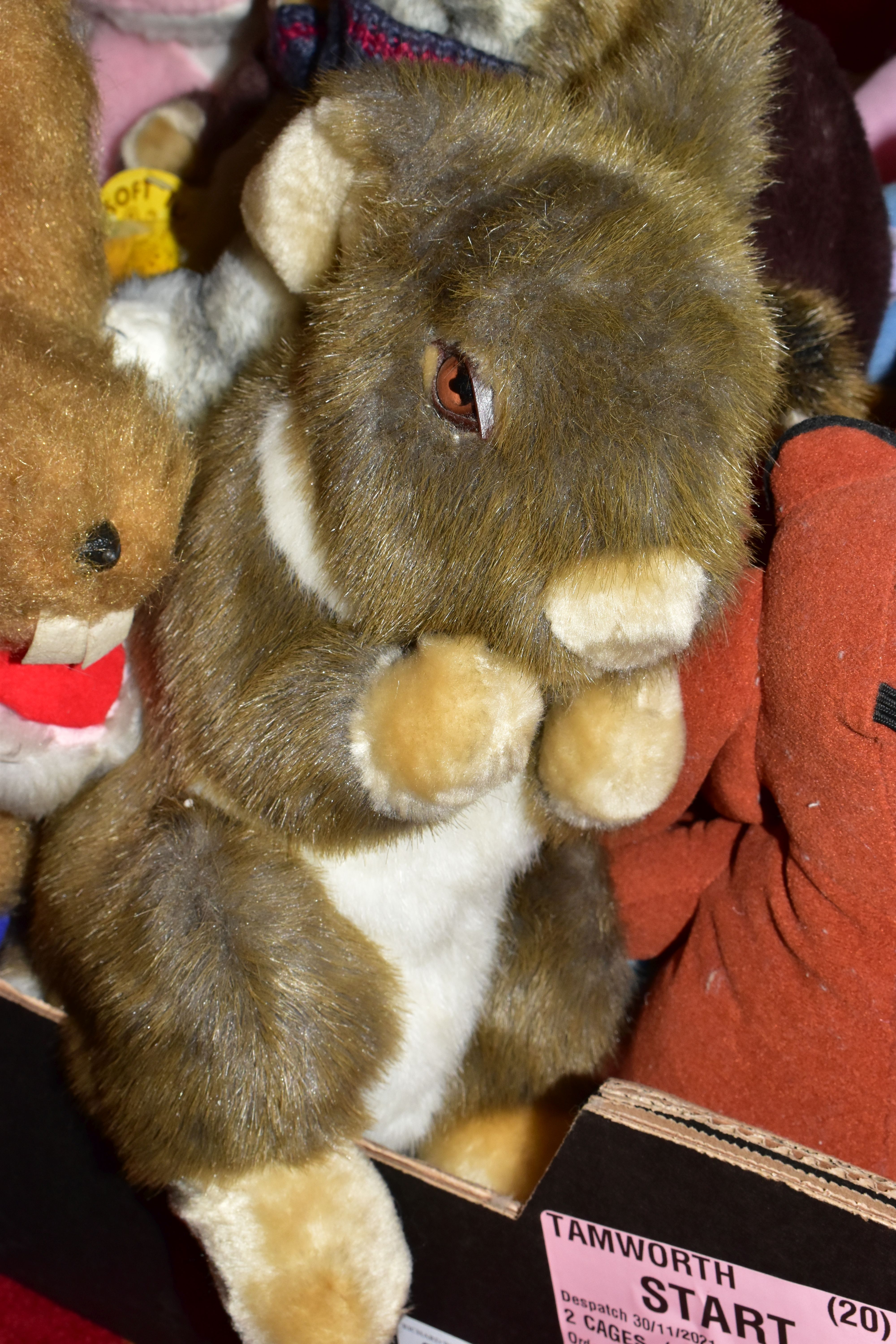 A QUANTITY OF MODERN SOFT TOYS, to include TY Beanie Babies, many with tag and tag protector, Russ - Image 4 of 14