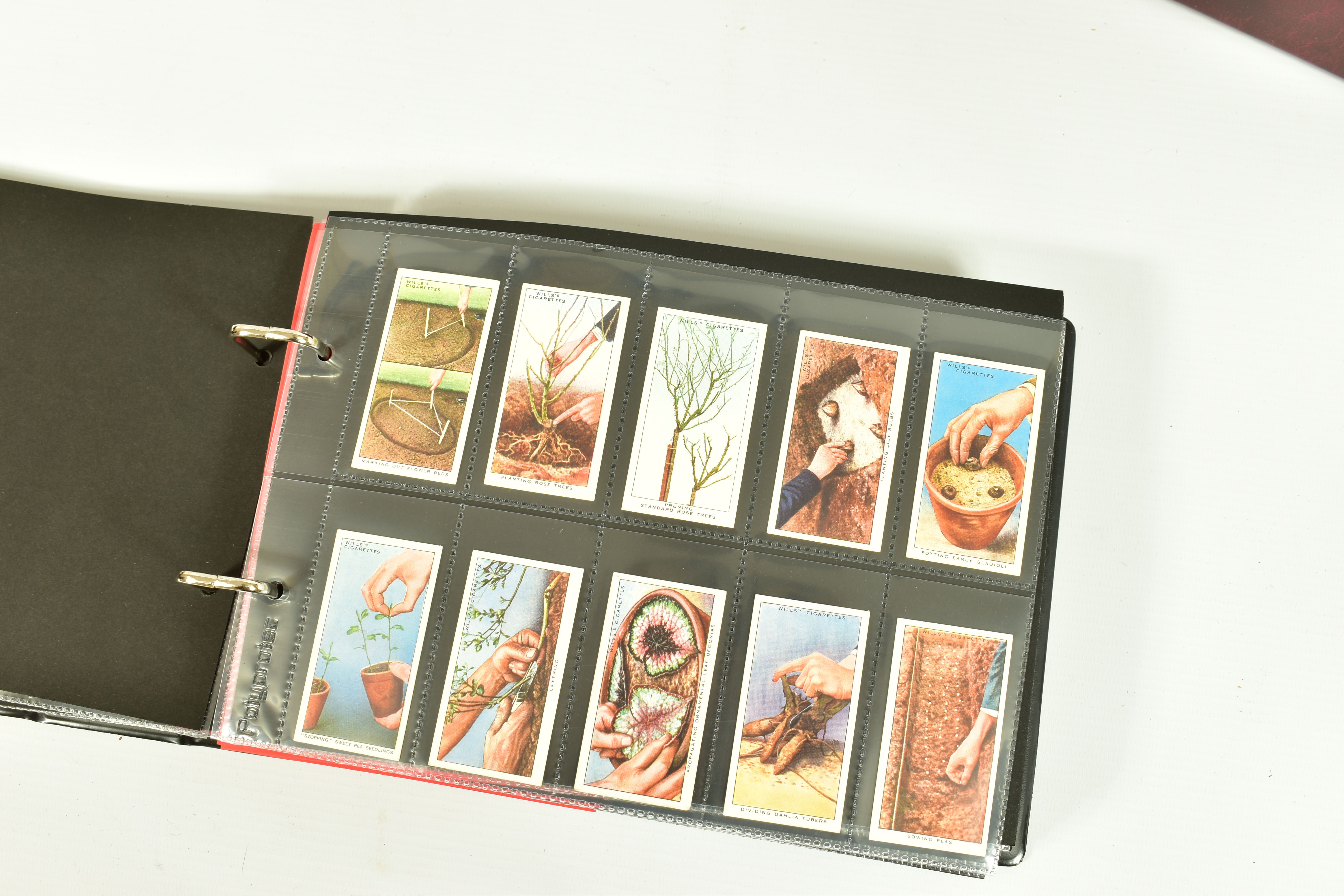 CIGARETTE CARDS, Nine Albums comprising a collection of complete and incomplete sets from W.A.& A.C. - Image 8 of 9