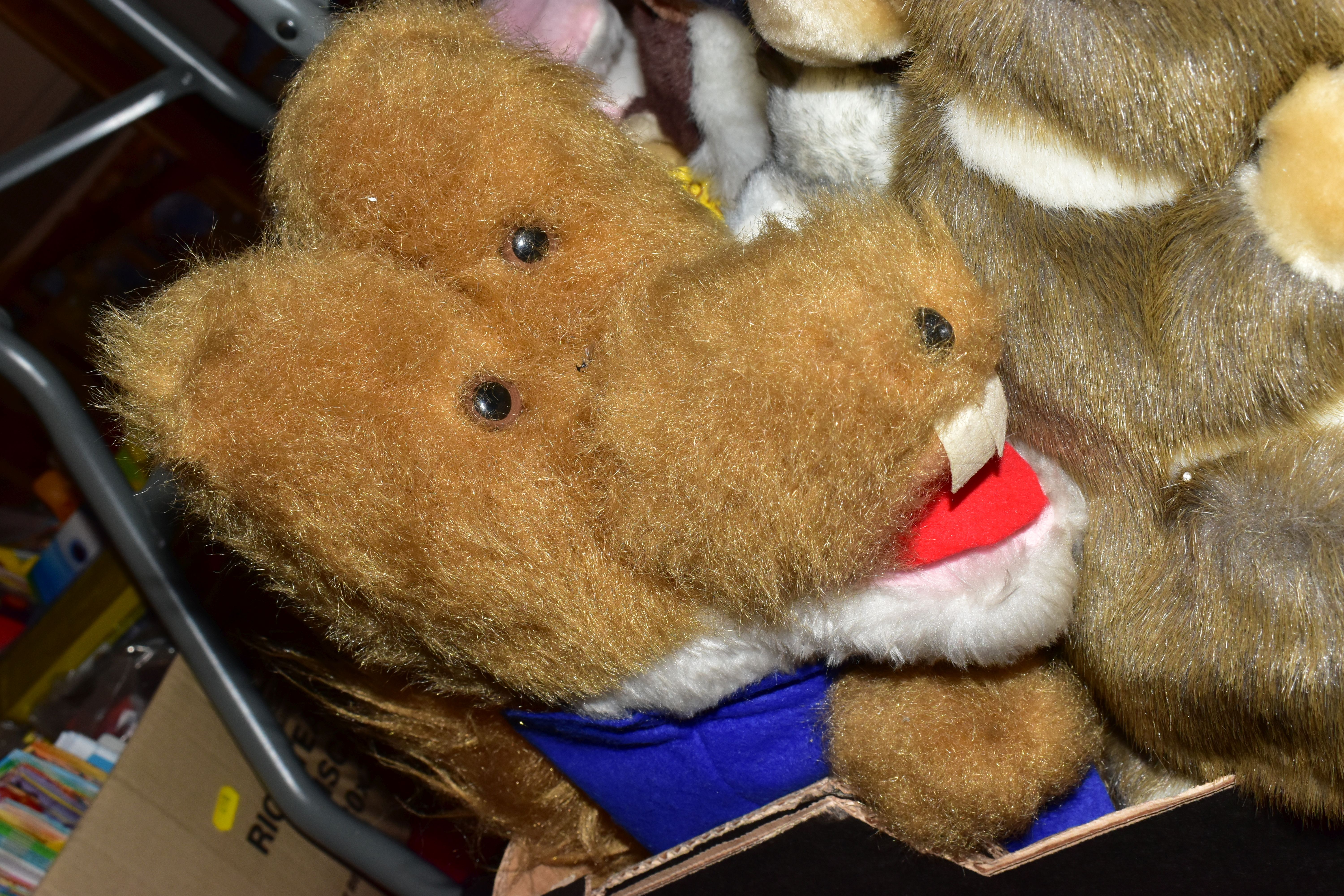 A QUANTITY OF MODERN SOFT TOYS, to include TY Beanie Babies, many with tag and tag protector, Russ - Image 3 of 14