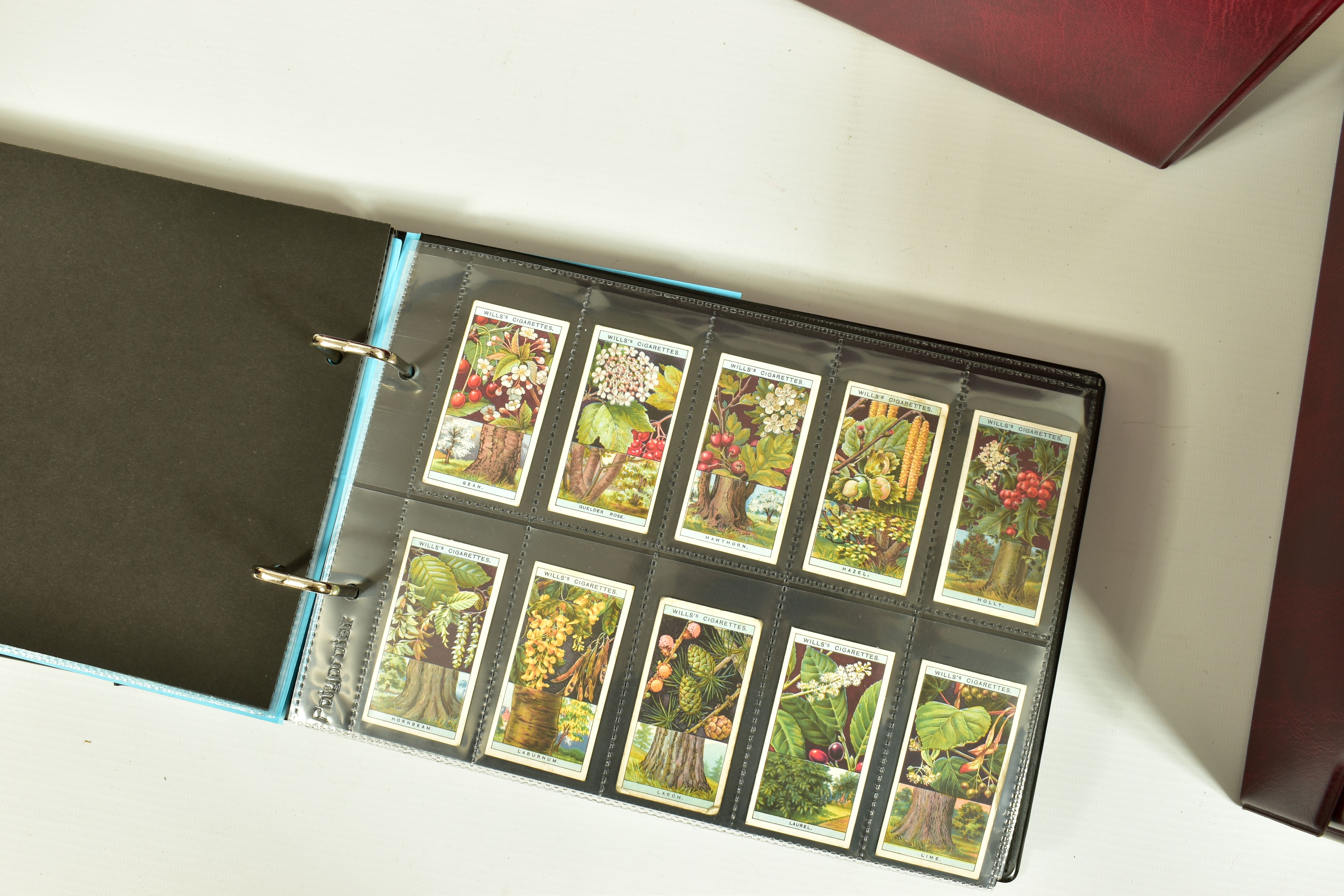 CIGARETTE CARDS, Six Albums and One Box comprising a collection of complete, incomplete sets, 'odds' - Image 5 of 7