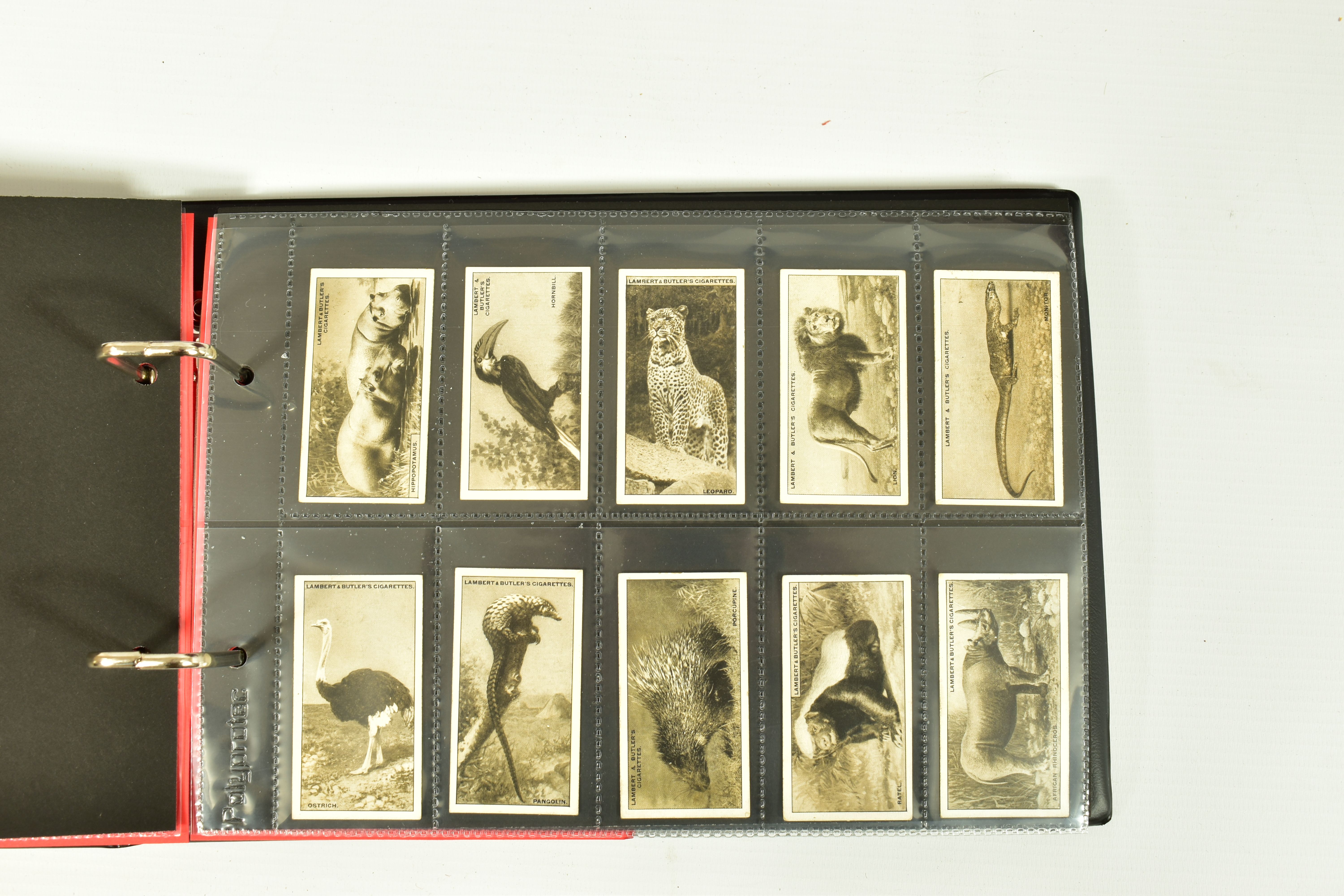 CIGARETTE CARDS, Nine Albums comprising a collection of complete and incomplete sets from W.A.& A.C. - Image 6 of 9
