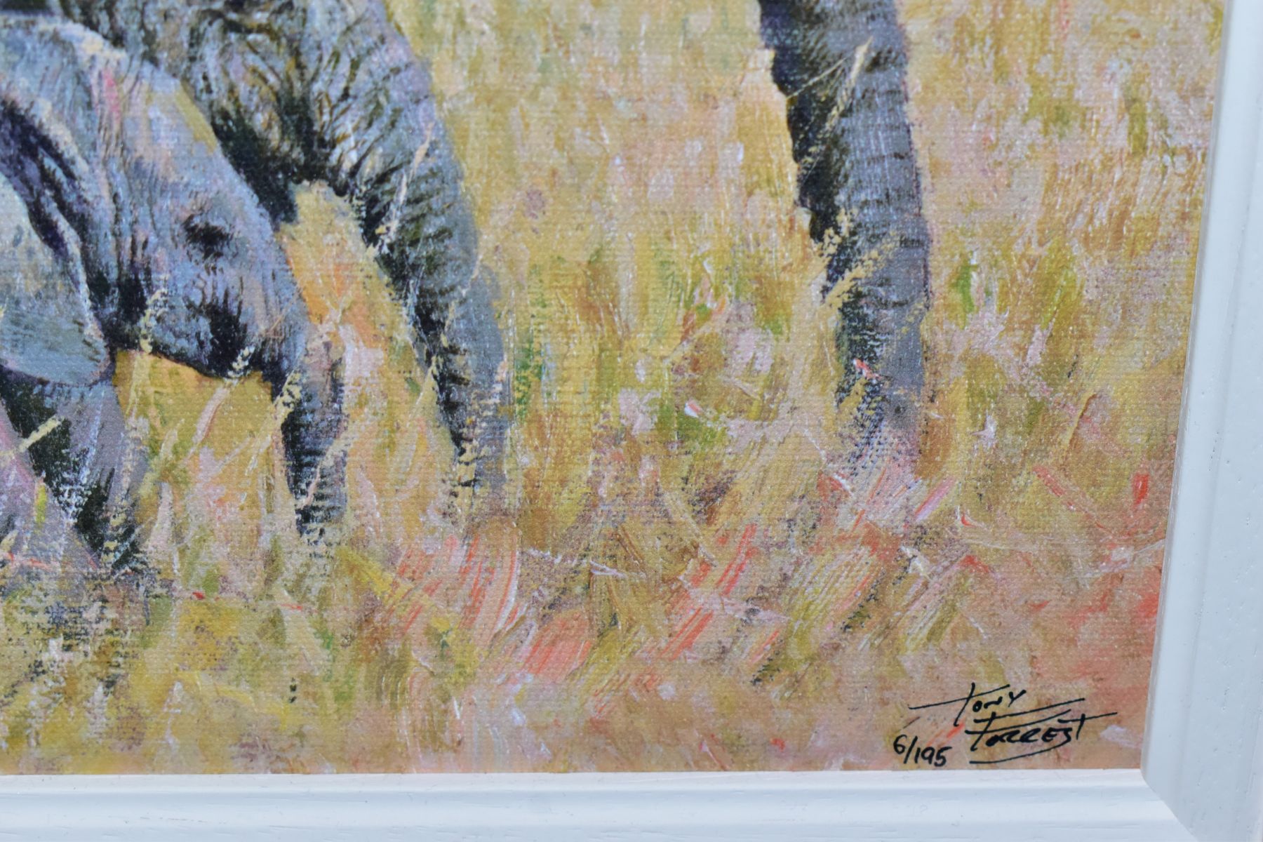 TONY FORREST (BRITISH 1961) 'FAMILY GATHERING', a signed limited edition print of elephants, 6/195 - Image 4 of 6