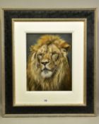 VALERIE SIMMS (BRITISH 1965) 'CROWNED HEAD', a portrait of a Lion, signed bottom right, pastel on