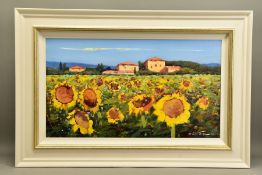 BRUNO TINUCCI (ITALIAN 1947) 'MILLE GIRASOLI / SUNFLOWER MILE', an Italian summer landscape,