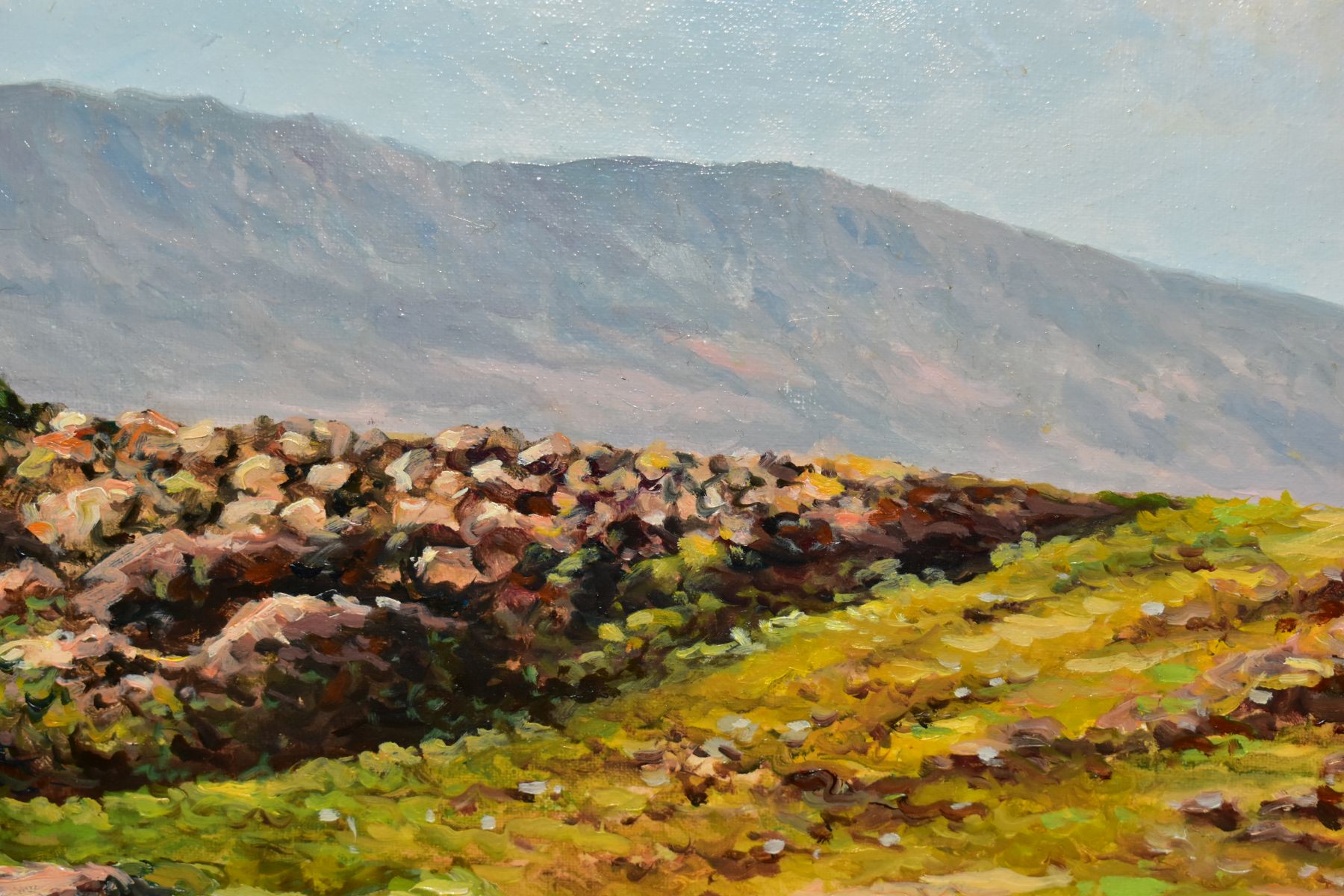 COTE POMARES (SPAIN CONTEMPORARY) A SOUTHERN TENERIFE LANDSCAPE, signed bottom left, oil on board, - Image 3 of 5