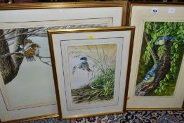 WARWICK HIGGS (BRITISH 1956) THREE WATERCOLOUR STUDIES OF BIRDS, the first depicts a pair of blue
