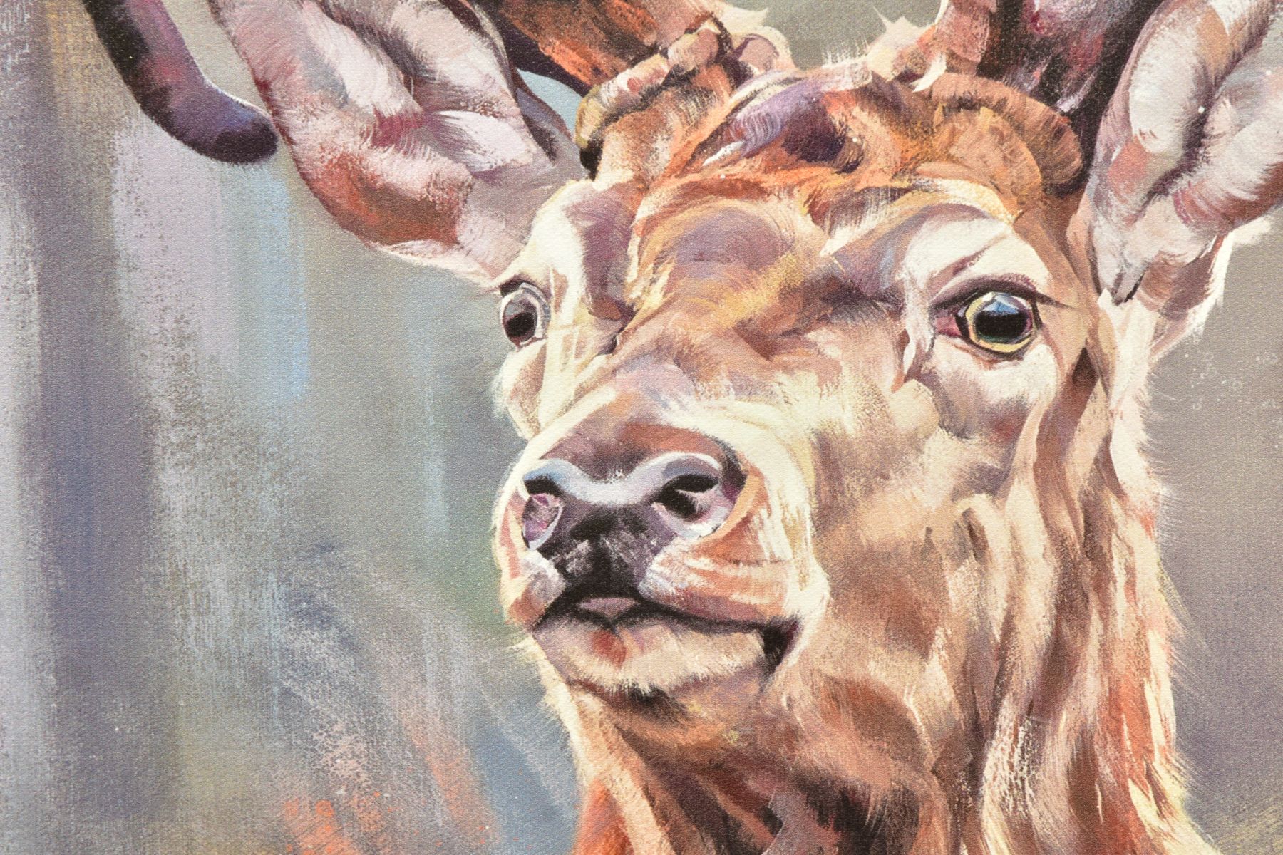 DEBBIE BOON (BRITISH CONTEMPORARY), 'STANDING TALL', a signed limited edition print of a stag, 57/ - Image 3 of 14