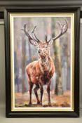 DEBBIE BOON (BRITISH CONTEMPORARY), 'STANDING TALL', a signed limited edition print of a stag, 57/
