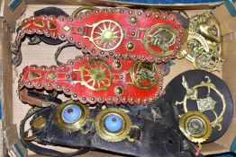 A BOX OF HORSE BRASSES, some on leather straps, including an extra-large brass, with approximately