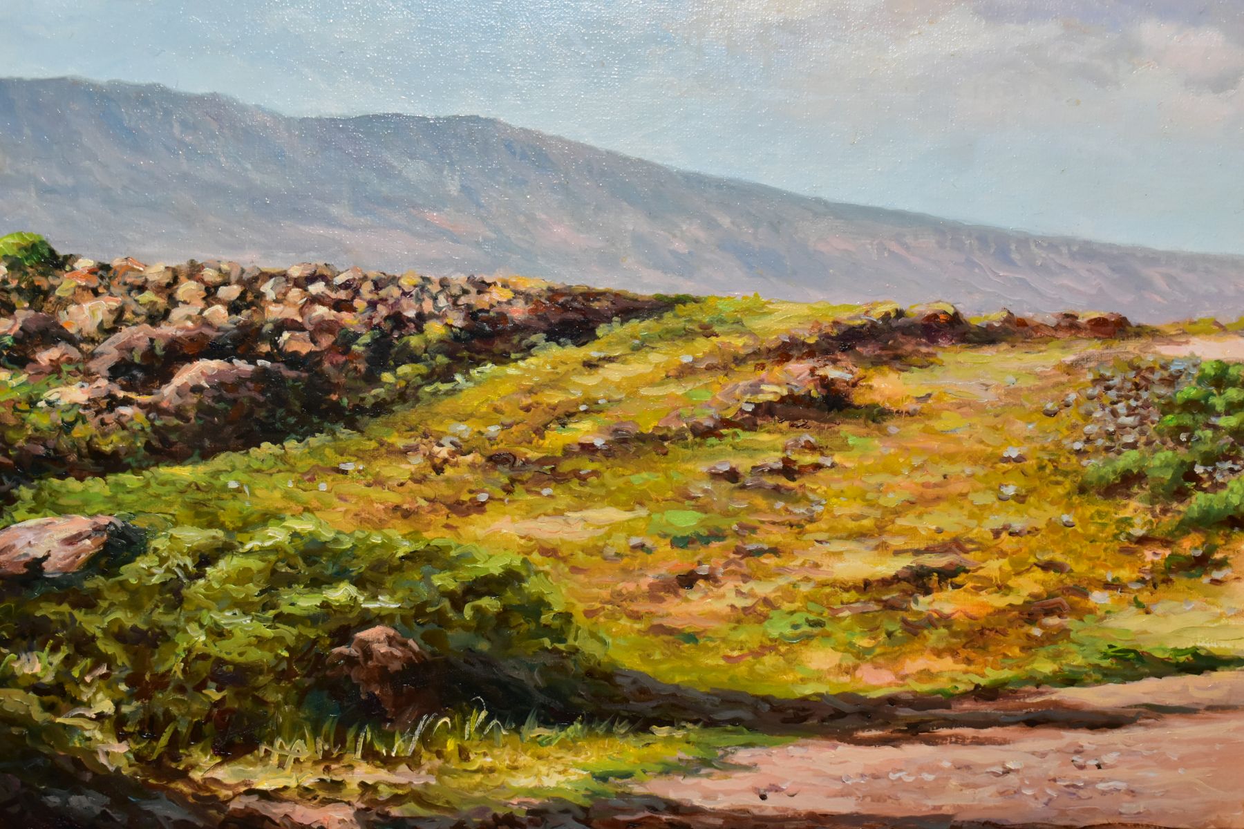 COTE POMARES (SPAIN CONTEMPORARY) A SOUTHERN TENERIFE LANDSCAPE, signed bottom left, oil on board, - Image 2 of 5