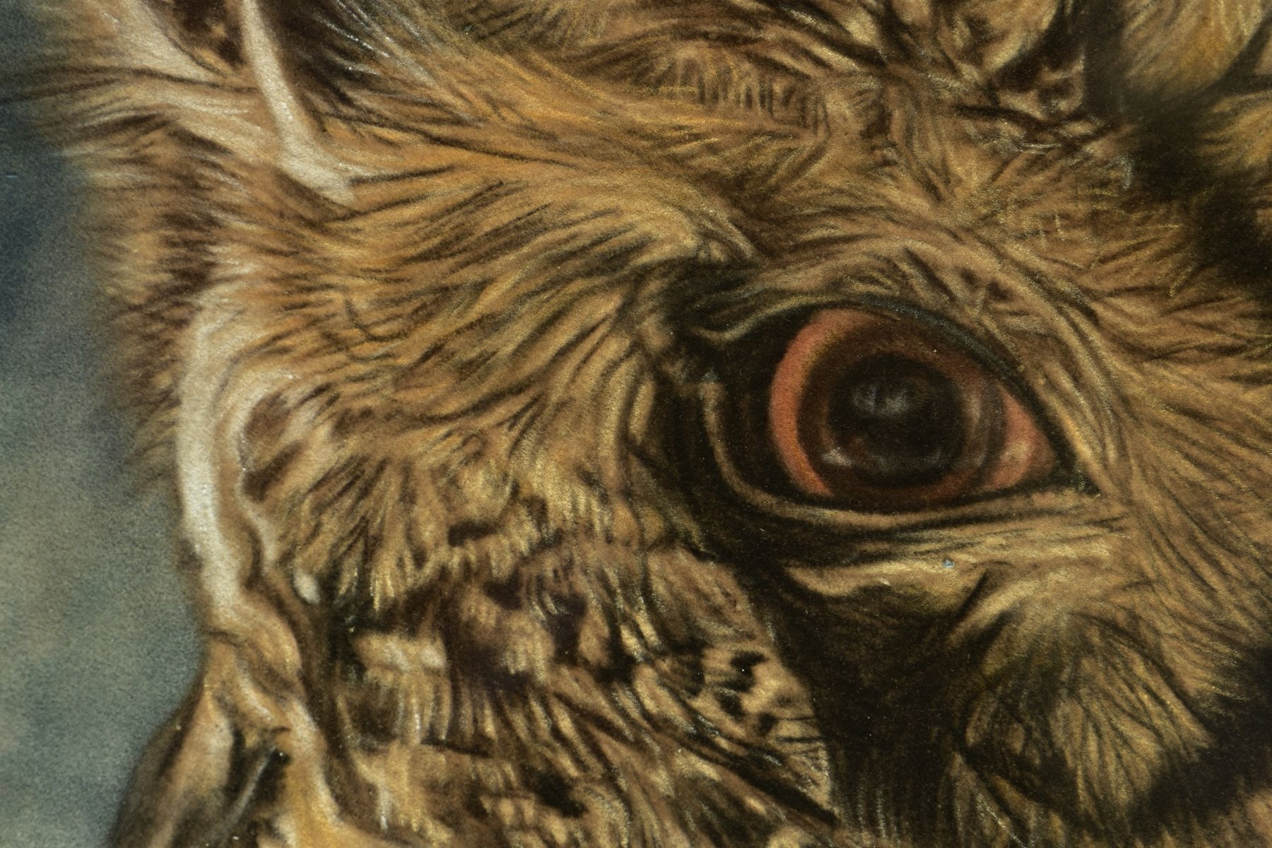 VALERIE SIMMS (BRITISH 1965) 'EAGLE EYED', a portrait of an Eagle Owl, signed bottom right, pastel - Image 4 of 8