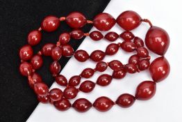 A CHERRY AMBER BAKELITE BEAD NECKLACE, graduated slightly pointed oval beads individually knotted on