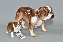 A ROYAL DOULTON BULLDOG (STANDING) HN1046, height 11.5cm and a Beswick Bulldog Bosun small, model