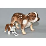 A ROYAL DOULTON BULLDOG (STANDING) HN1046, height 11.5cm and a Beswick Bulldog Bosun small, model