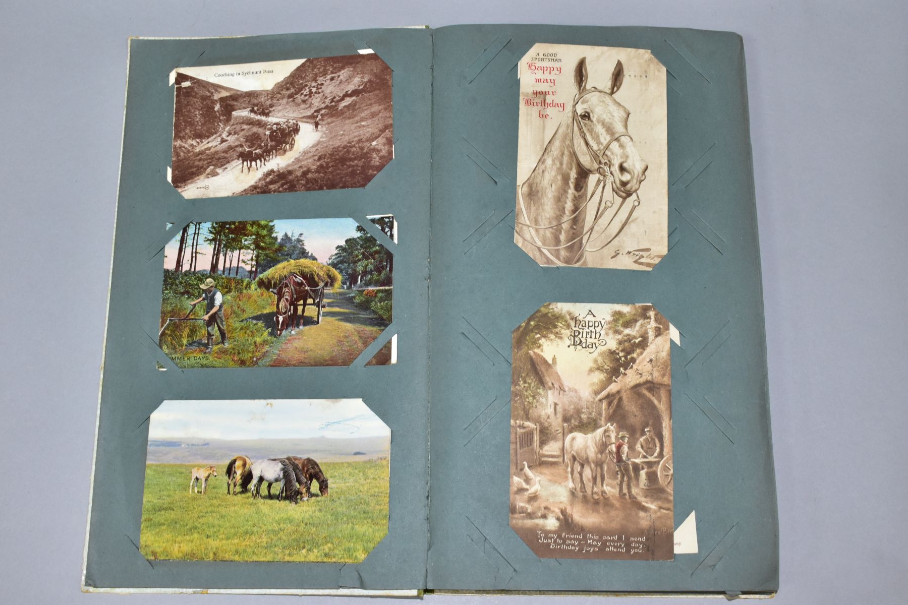 POSTCARDS, approximately 133 Postcards in one album of equine related cards, early-mid 20th century, - Image 3 of 8