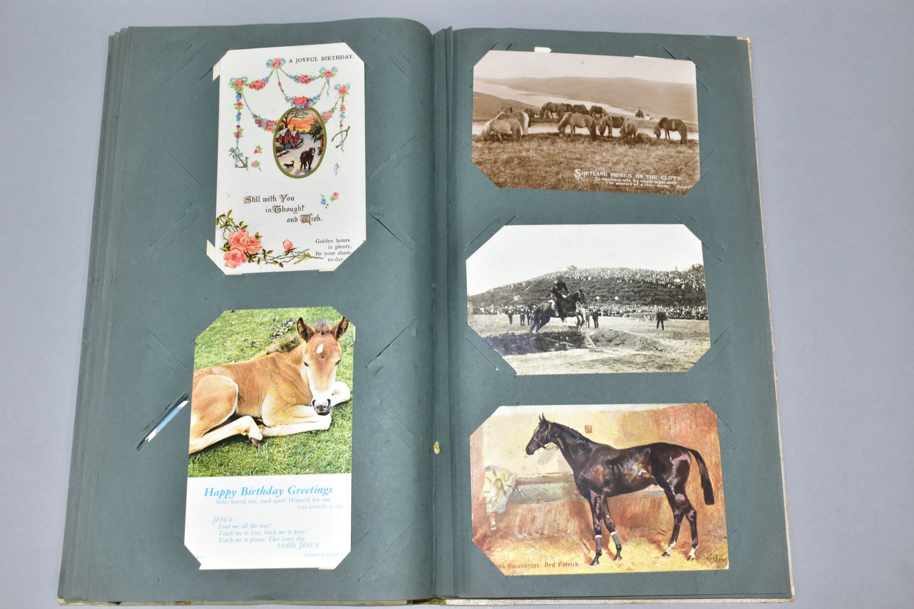 POSTCARDS, approximately 133 Postcards in one album of equine related cards, early-mid 20th century, - Image 8 of 8