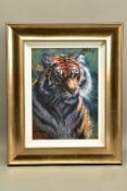 ROLF HARRIS (AUSTRALIA 1930) 'TIGER IN THE SUN', a limited edition print 171/195, signed bottom