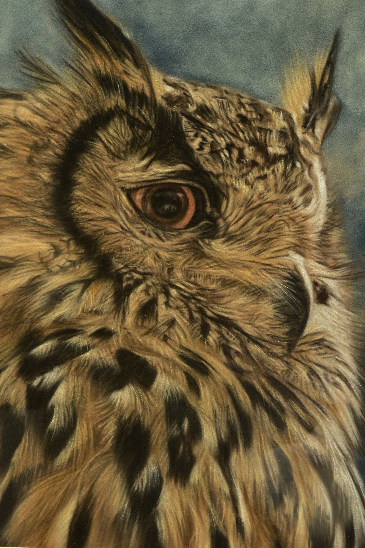 VALERIE SIMMS (BRITISH 1965) 'EAGLE EYED', a portrait of an Eagle Owl, signed bottom right, pastel - Image 3 of 8