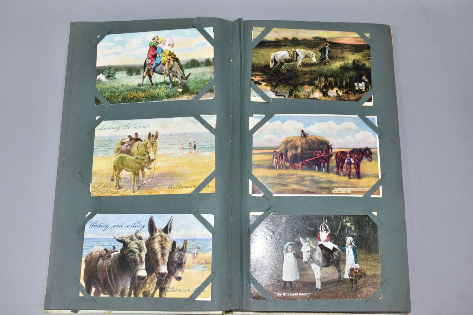 POSTCARDS, approximately 133 Postcards in one album of equine related cards, early-mid 20th century, - Image 4 of 8