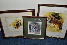 DAVID SHEPHERD (1931-2017) TWO SIGNED LIMITED EDITION PRINTS OF TIGERS, 'Tiger Sketch' 115/850