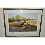 DAVID SHEPHERD (1931-2017) 'SAVUTI SANDS', a signed limited edition print of a Cheetah, 710/1000,