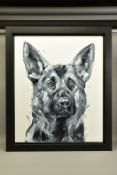 JENNIFER HOGWOOD (BRITISH 1980) 'GERMAN SHEPHERD SPARKLE', a monochrome portrait of an Alsatian dog,