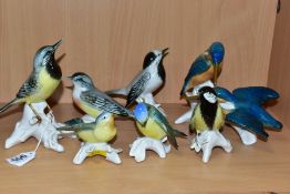 SIX KARL ENS PORCELAIN BIRD FIGURES, to include single birds perched on branches, a pair of