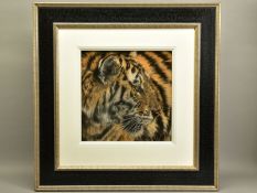 VALERIE SIMMS (BRITISH 1965) 'BULLSEYE', A PORTRAIT OF A TIGER, signed bottom right, pastel on