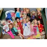 A BOX OF SINDY AND OTHER FASHION DOLLS, approximately twenty dolls from 1970s/80s and 1990s, blonde,