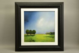 BARRY HILTON (BRITISH 1941) 'GREEN FIELDS OF HOME', a signed limited edition print of a British