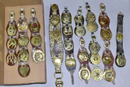 A BOX OF HORSE BRASSES, many attached to leather martingales, approximately thirty two brasses on