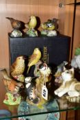 TEN ROYAL WORCESTER BIRD FIGURES AND GROUPS AND A ROYAL WORCESTER 'KITTENS - TABBY', the birds