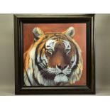 JONATHAN TRUSS (BRITISH 1960) 'WATCHING YOU', a signed artist proof print of a Tiger, 1/20 with