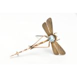 AN EARLY 20TH CENTURY YELLOW METAL DRAGONFLY BROOCH, set with a circular cut blue paste in a