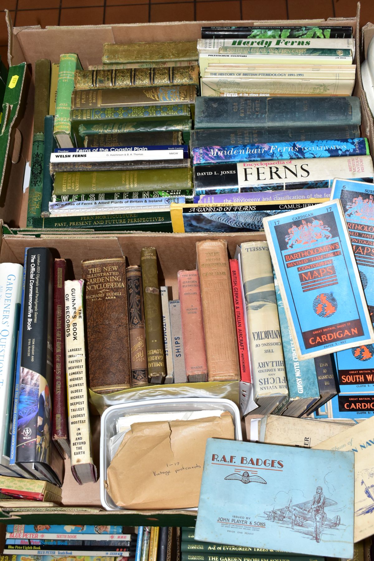 TWO BOXES OF BOOKS, POSTCARDS AND EPHEMERA, approximately forty books mainly nineteenth and