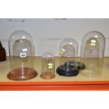 FOUR GLASS DOMES WITH WOODEN BASES comprising circular based domes of heights, excluding bases,