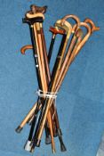 A BUNDLE OF THIRTEEN LATE 20TH / EARLY 21ST CENTURY WALKING STICKS, mostly wooden handled, one
