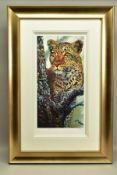 ROLF HARRIS (AUSTRALIA 1930) 'ALERT FOR PREY' a limited edition print of a Leopard 183/195, signed