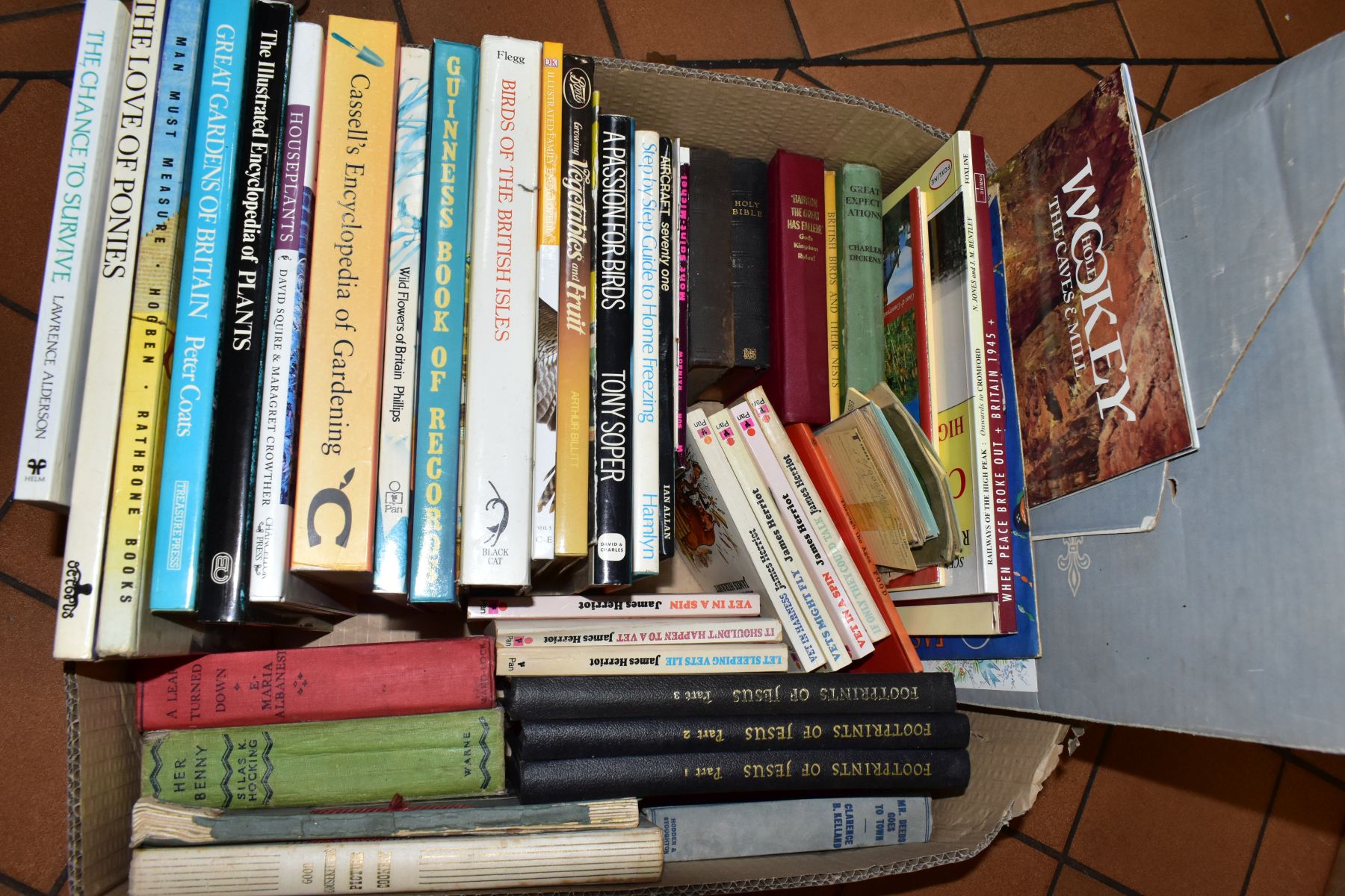 FOUR BOXES OF BOOKS AND DVDS, approximately seventy books with titles to include gardening, - Image 5 of 6