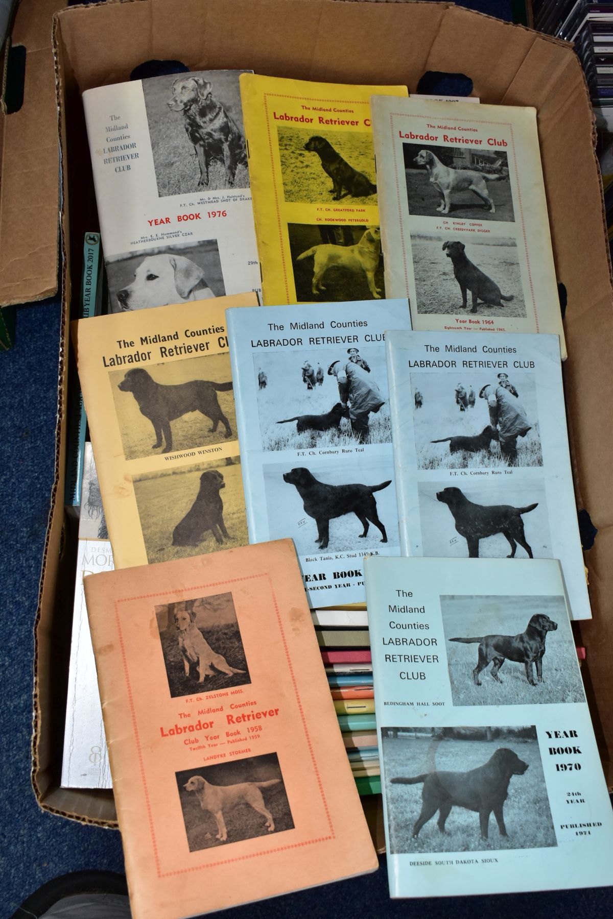 A BOX OF MIDLAND COUNTIES LABRADOR RETRIEVER CLUB YEAR BOOKS AND OTHER BOOKS ABOUT DOGS, to - Image 2 of 3