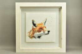 SARAH STOKES (BRITISH CONTEMPORARY) A STUDY OF THE HEAD OF A FOX, signed bottom right, watercolour