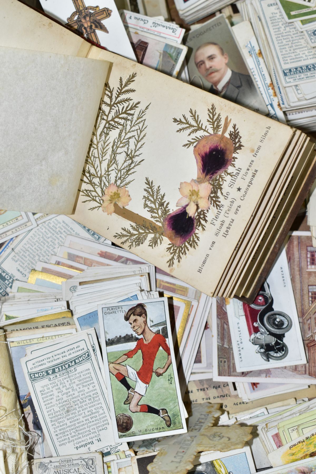 TWO BOXES OF CIGARETTE CARDS IN ALBUMS AND LOOSE, to include Ogden's British Birds Eggs, Carreras - Image 3 of 5