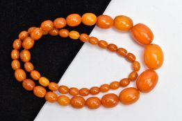 A GRADUATED AMBER COLOUR BAKELITE BEAD NECKLACE, oval graduated beads, largest measuring
