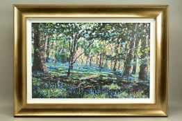 TIMMY MALLETT (BRITISH CONTEMPORARY) 'BLUEBELL SHADOWS', a signed limited edition print on canvas