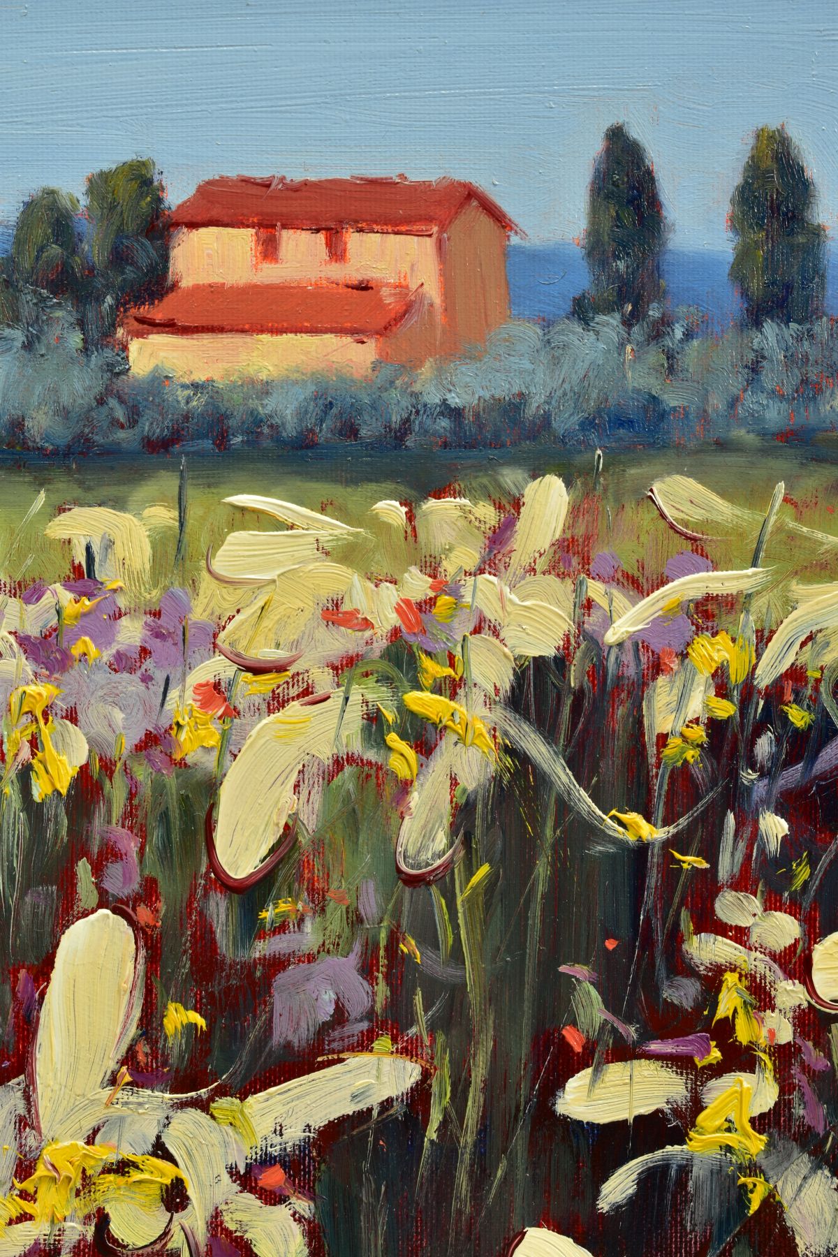 BRUNO TINUCCI (ITALY 19470) 'CAMPO BIANCO', an Italian landscape of flowers with buildings beyond, - Image 6 of 8