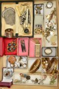 A BOX OF ASSORTED COSTUME JEWELLERY, to include a carnelian pin, a mother of pearl early 20th