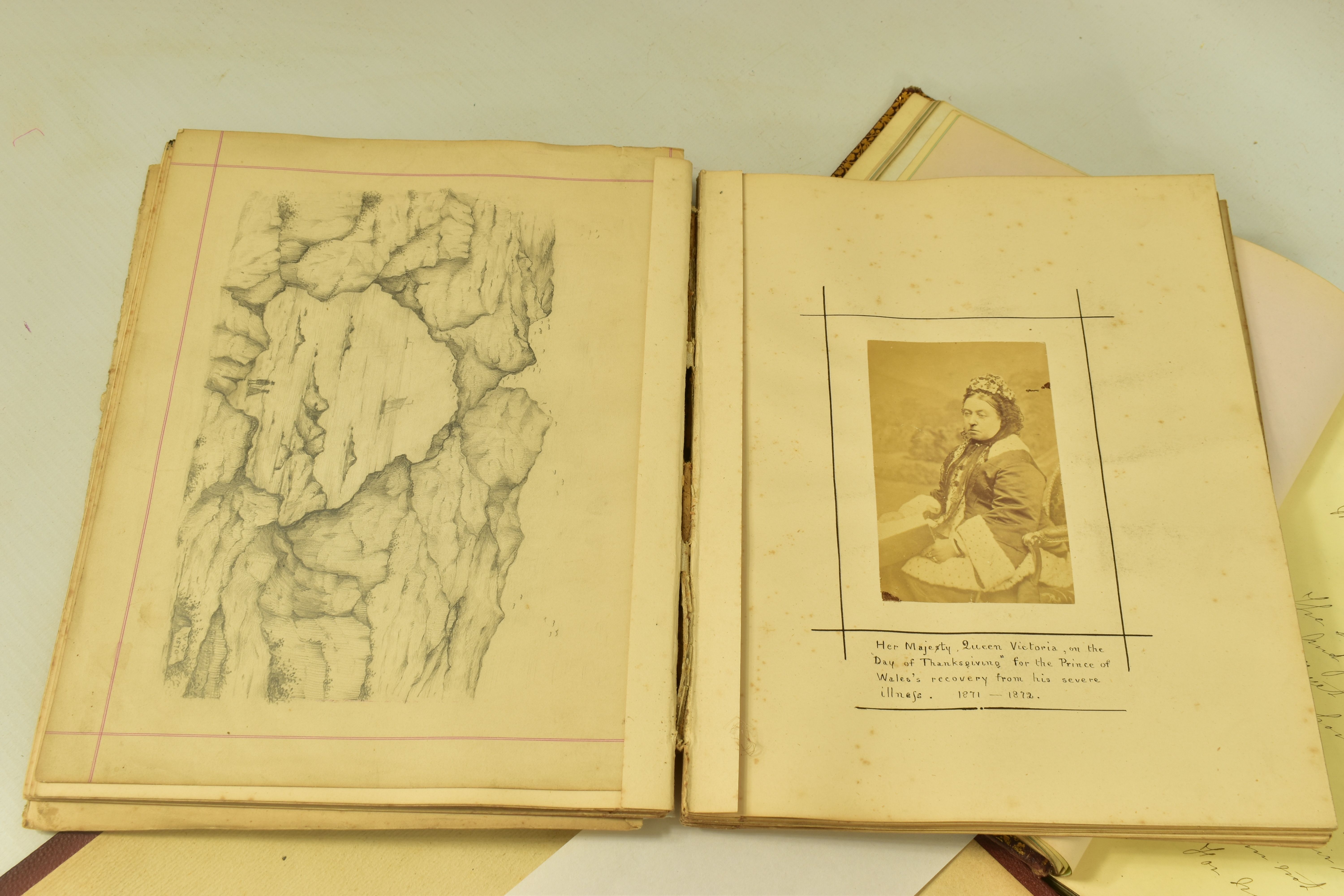 VICTORIAN SCRAPBOOKS, three Victorian Scrapbooks featuring pressed flowers, artwork, observations, - Image 2 of 8