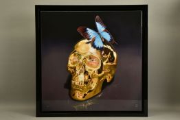 RORY HANCOCK (BRITISH 1987) 'BUTTERFLY KISS' a signed limited edition box canvas print of a skull